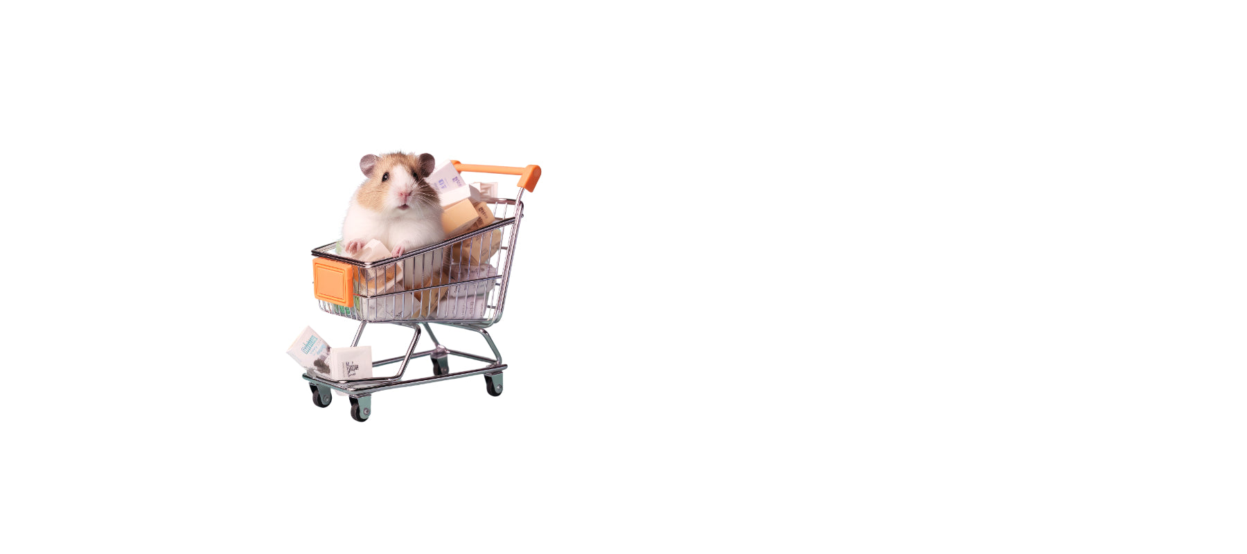 a hamster in a shopping cart