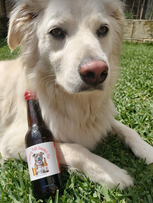 Chasing Tail Golden Ale - Gluten Free & Grain Free - Beef Flavoured Dog Beer - Non-alcoholic beverage for dogs