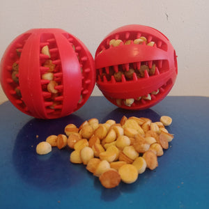 dog treat ball