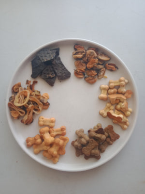 plate of dog treats