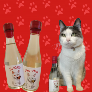 MosCATo! - Fish Flavoured Cat Wine - Gluten Free & Grain Free - Non-alcoholic beverage for cats