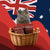 Aussie Cat Treat Bundle - Gluten Free & Grain Free - Cat Treats - Meat