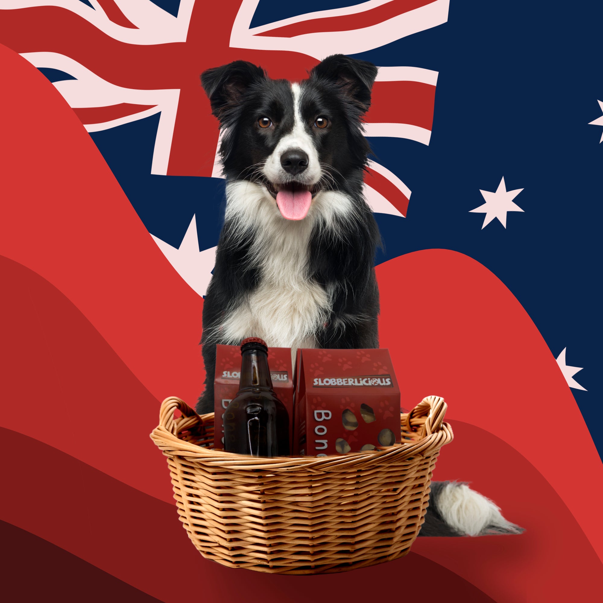 Aussie Dog Treat Bundle - Gluten Free & Grain Free - Dog Treats